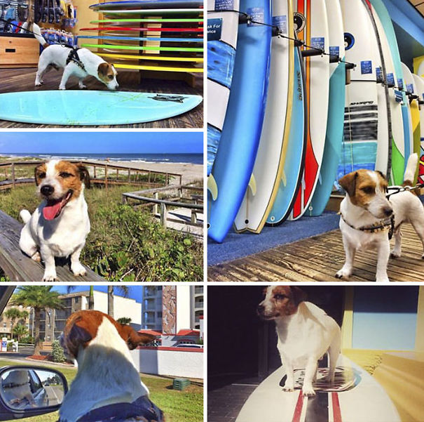 Surf Up! Cocoa Beach, Florida U.s.a.