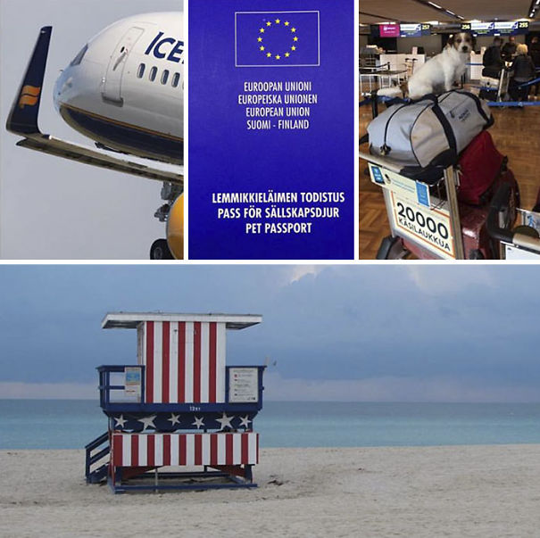 Ready Or Not, Here I Come!