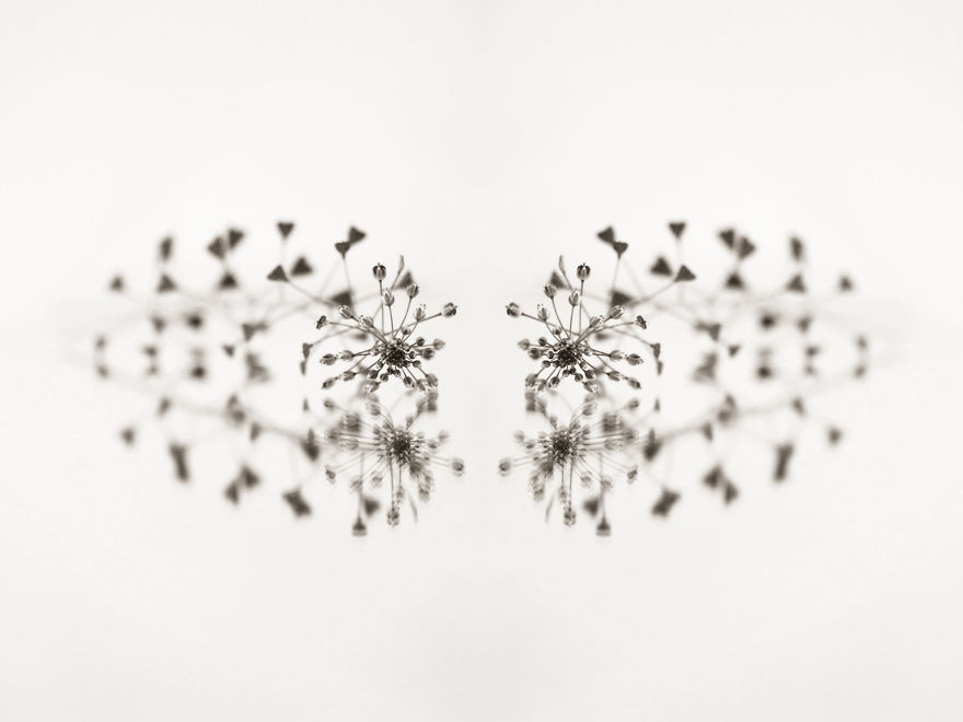 Reflections – I Played With Mirrors To Create Abstract Geometric Views Reflections – I Played With Mirrors To Create Abstract Geometric Views