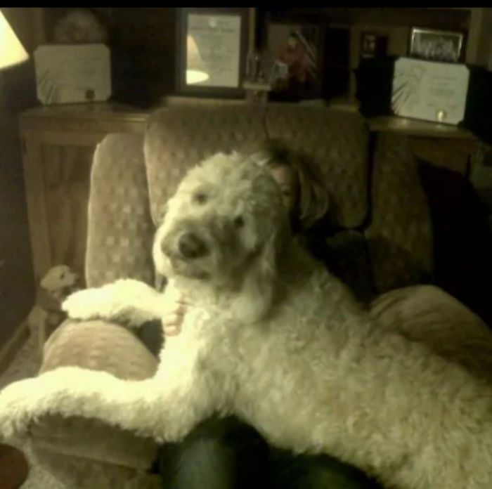 He Wants To Watch Tv With Me...err...i Mean 'for' Me!