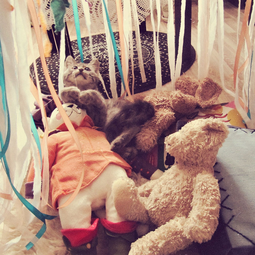 Shall I Trademark It? Shall I Trademark It?