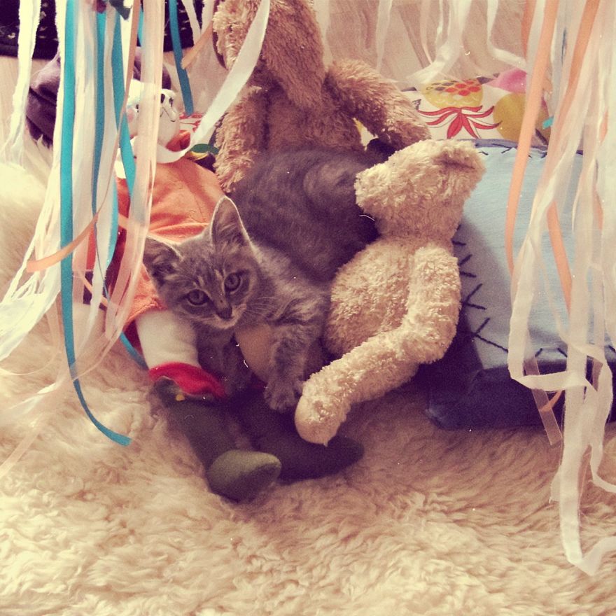 Shall I Trademark It?