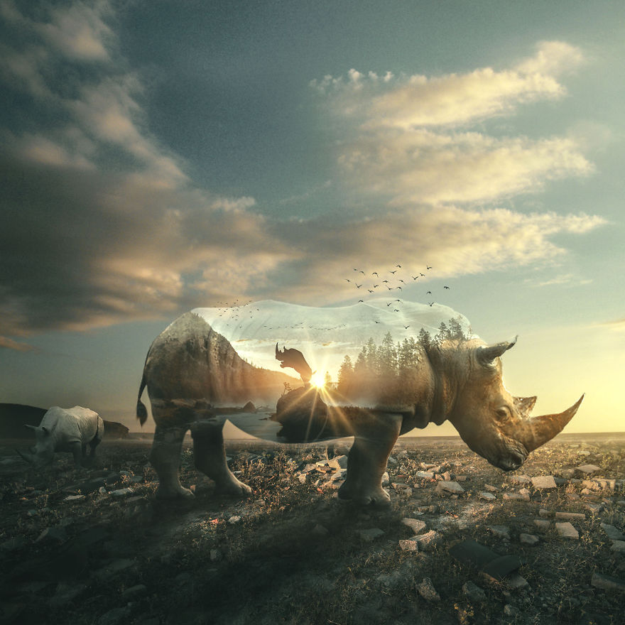 Simple "Digital Imaging" With Photoshop