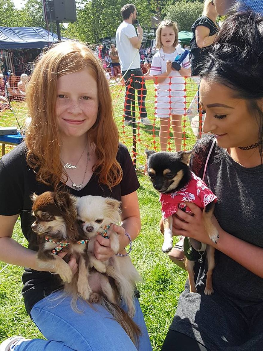 Someone Threw A Festival Just For Chihuahuas And The Pictures Will Make Your Day.