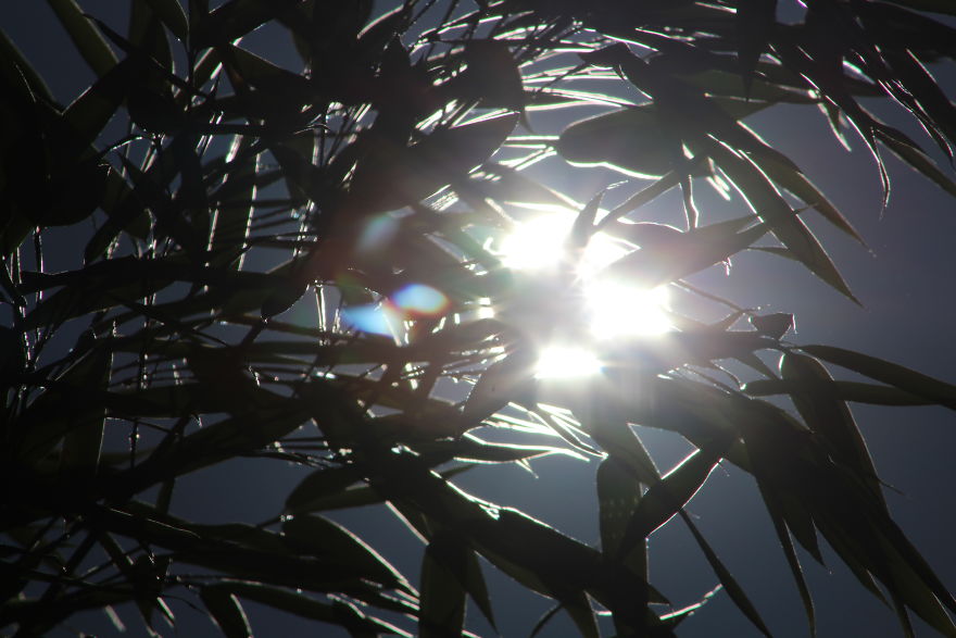 I Photographed The Solar Eclipse