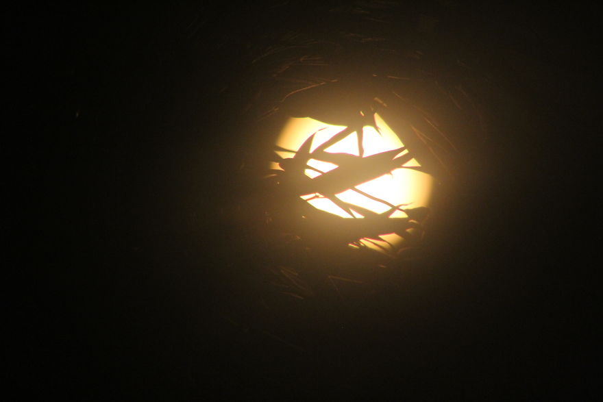 I Photographed The Solar Eclipse