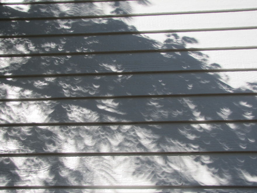 I Photographed The Solar Eclipse