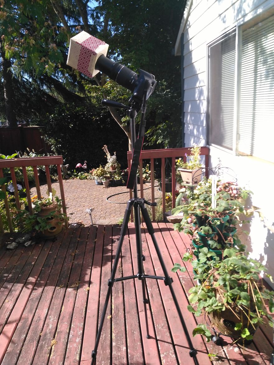 I Photographed The Solar Eclipse