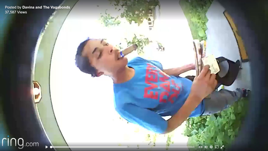 Top 9 Best Moments Captured On A Video Doorbell Camera