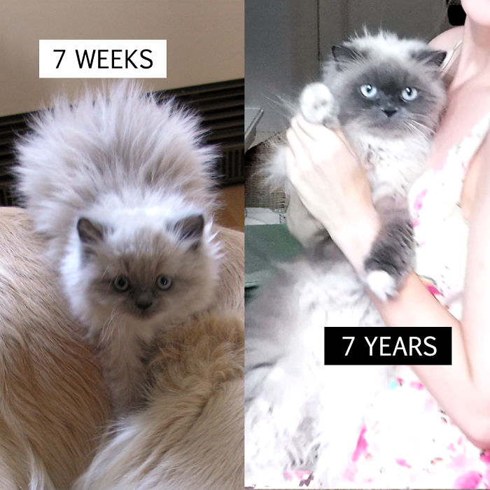 Maumau. 7 Weeks Then - 7 Years Now :)