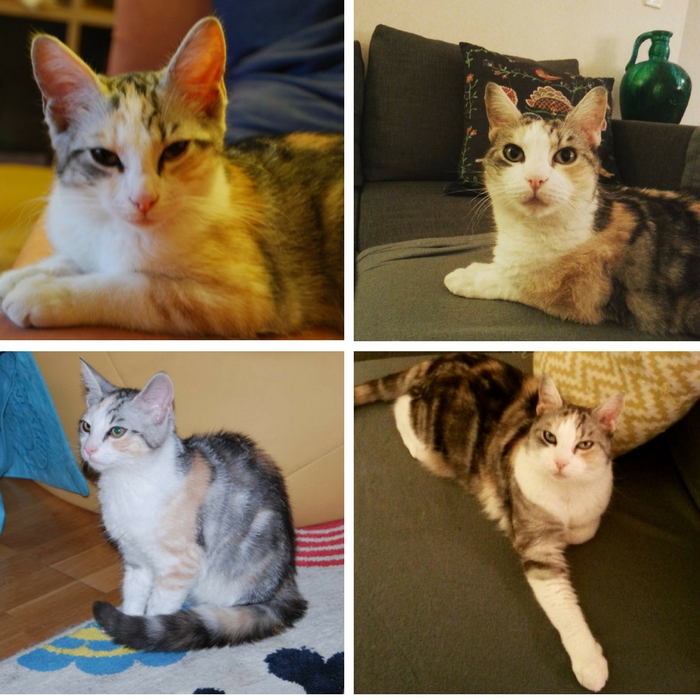 Always So Dignified! (2010 And 1lb Vs 2017 And 15lb)