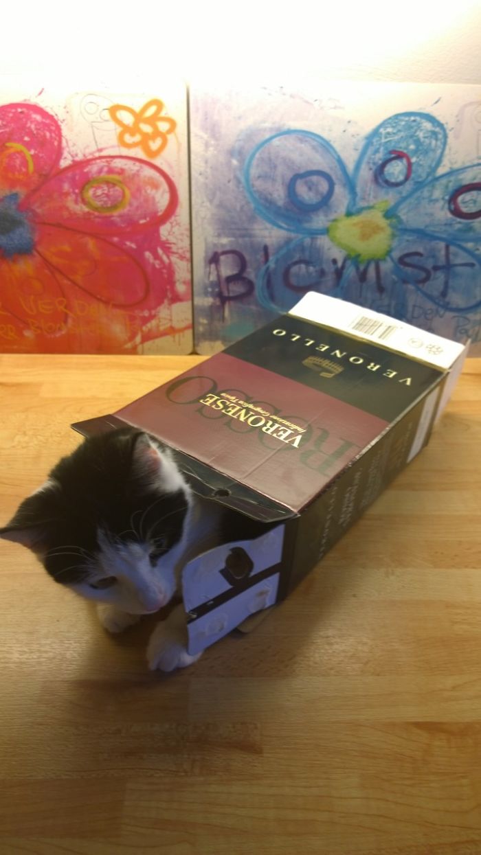 Mila Kunis Can't Get Enough Of That Box Wine Either