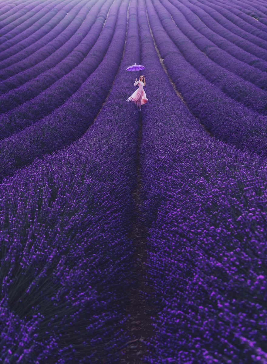 Valensole, Provence, France. Model: Svetlana