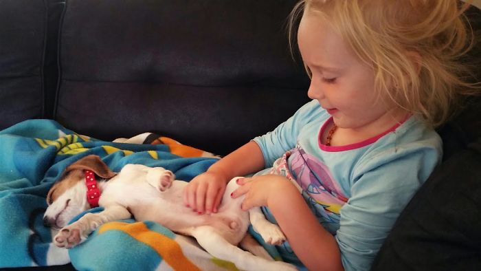 Crying Puppy Wants To Be Close To His Best Friend