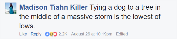 Some People Left Their Dogs Tied Up To Die In The Flood And It Will Break Your Heart