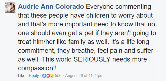 Some People Left Their Dogs Tied Up To Die In The Flood And It Will Break Your Heart Some People Left Their Dogs Tied Up To Die In The Flood And It Will Break Your Heart