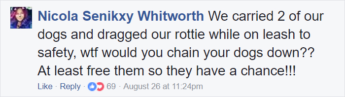 Some People Left Their Dogs Tied Up To Die In The Flood And It Will Break Your Heart