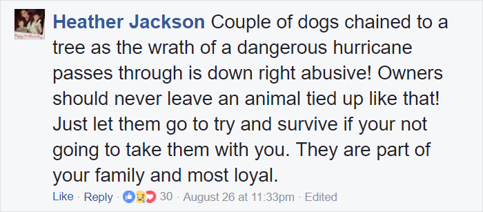 Some People Left Their Dogs Tied Up To Die In The Flood And It Will Break Your Heart