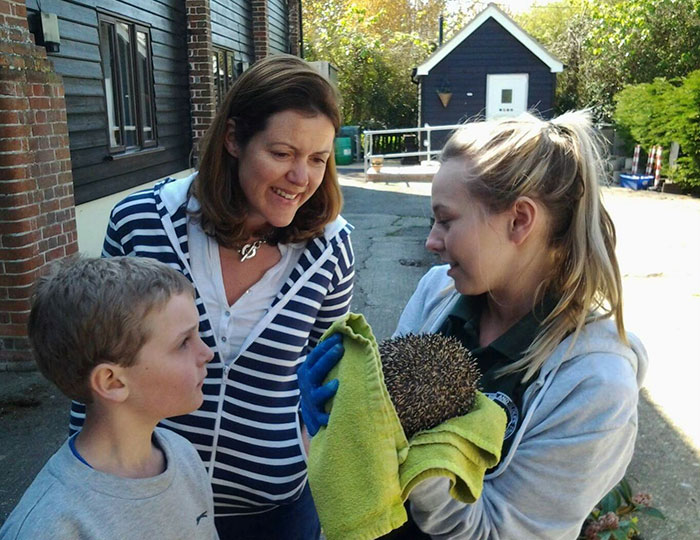 angry-hedhehog-clay-ball-6 angry-hedhehog-clay-ball-6