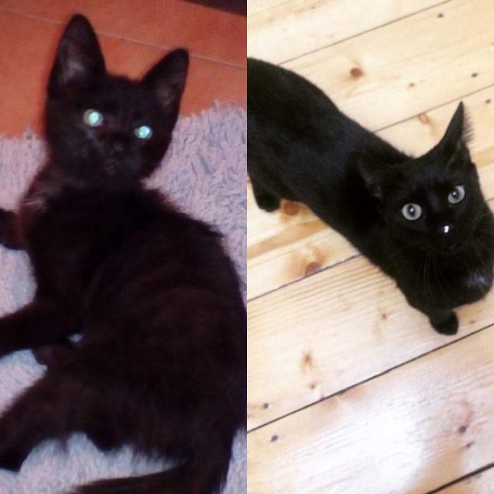 Batsy 1 Month And 1 Year