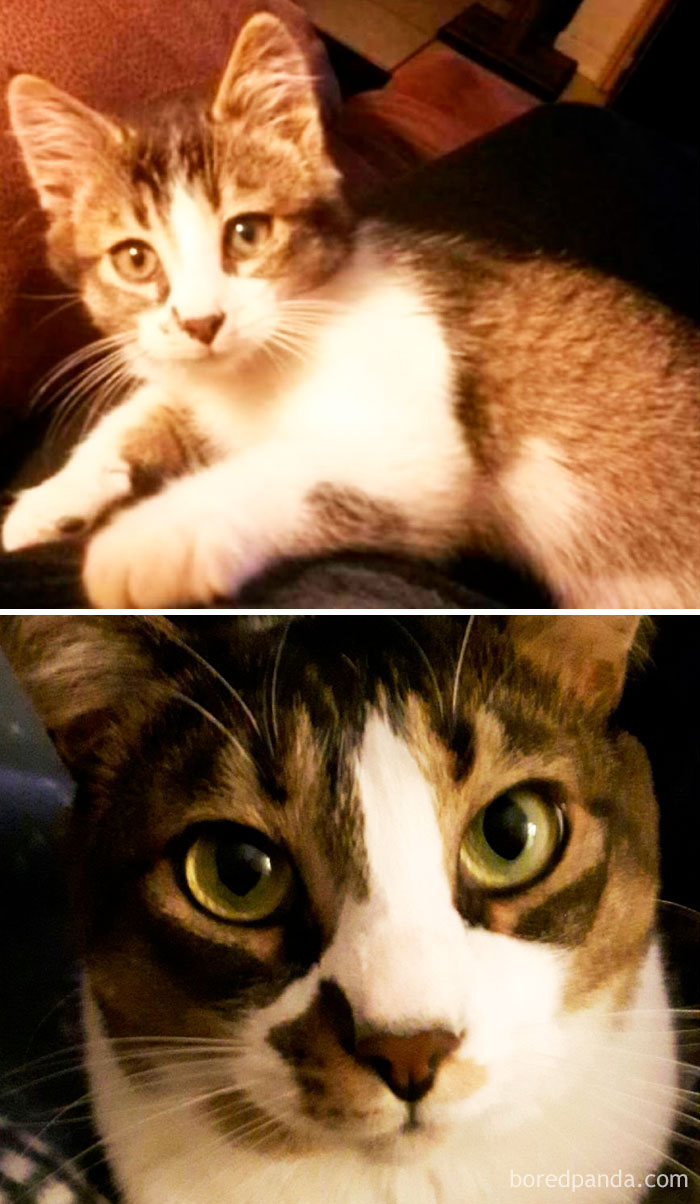 Sam ~ 6 Weeks Old And 3 Years Old