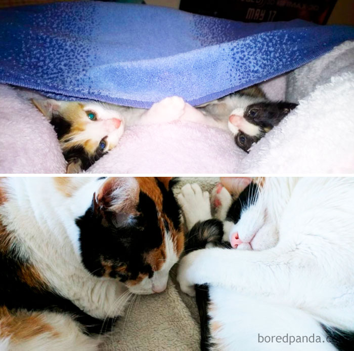 Three Years Ago Vs Today!