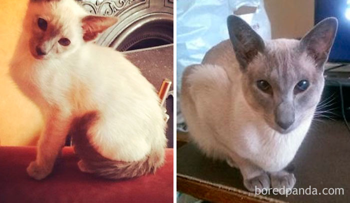 Freya - Then And Now