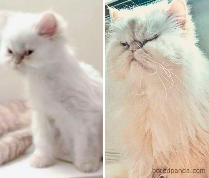 Theadore E. Beeberton. 5 Months and 7-Years-Old. (He Passed Away In Sept '16)