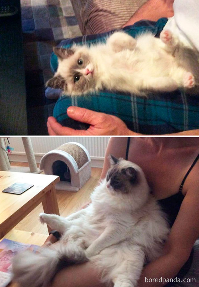 George 3 And 10 Months Old