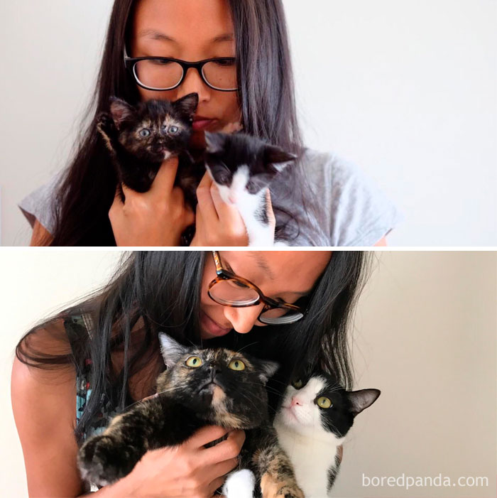 My Fiancé And Her Kittens And Then A Year Later, My Wife And Our Cats