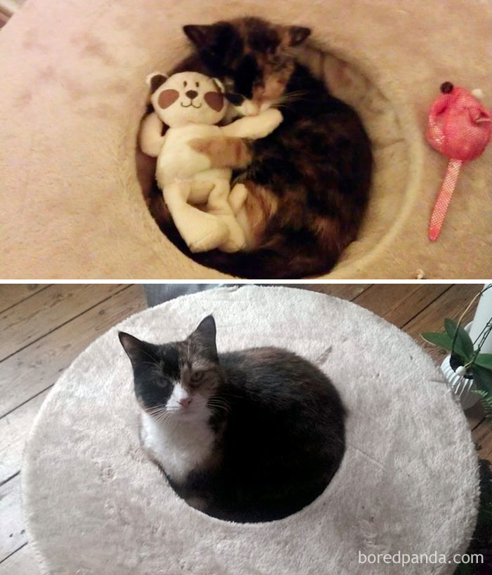 Another Busy Moving Day, 4 Years Later