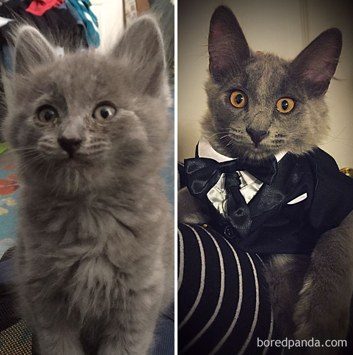 Artemis Has Grown A Lot