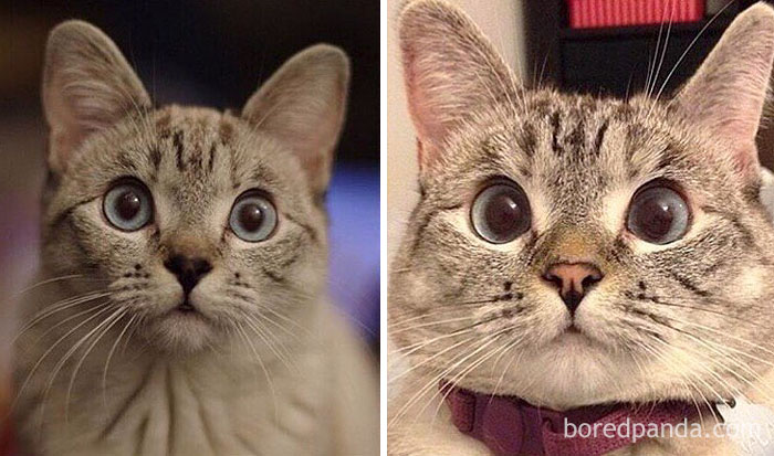 When I Was A Baby And Now