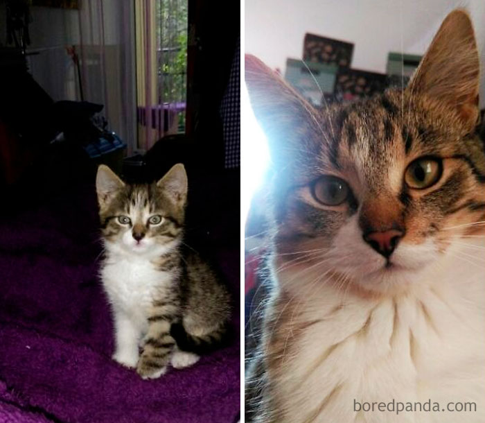 Nutka Before And Now She Is Really Big