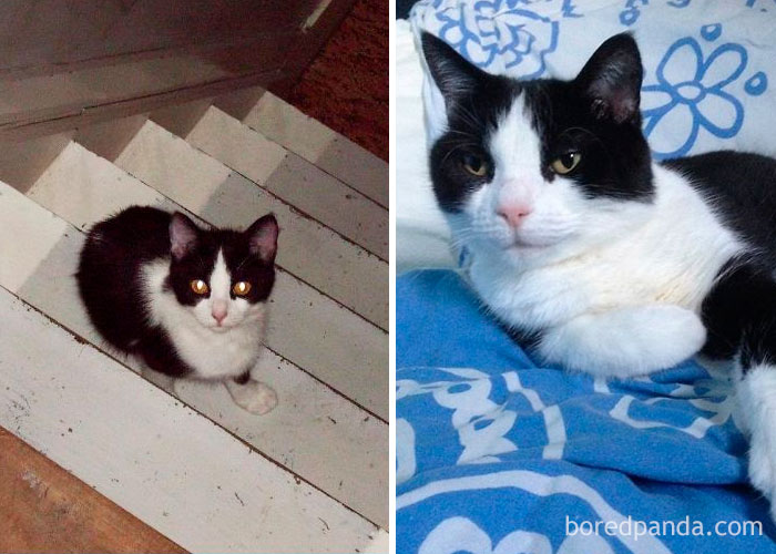 Luna - 11 Years Later