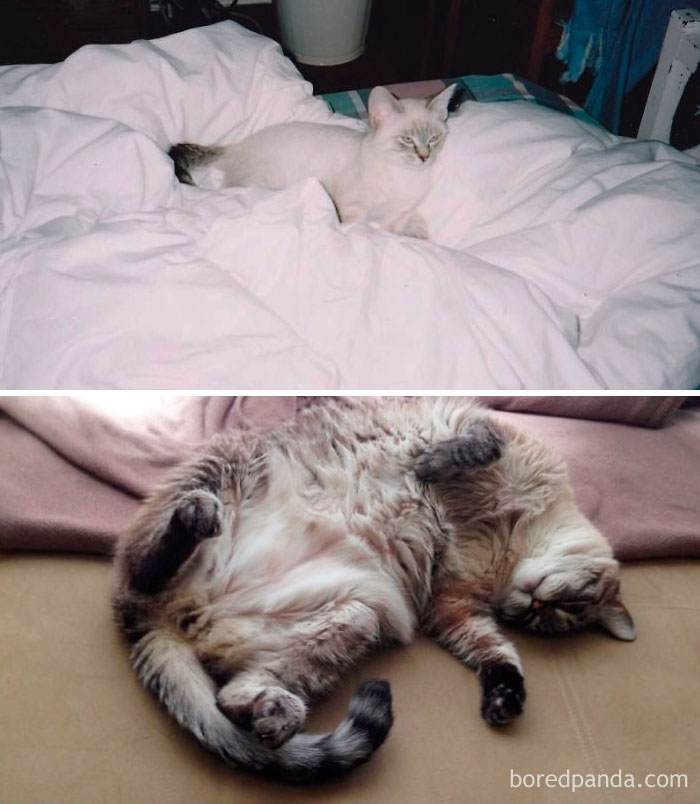 Frankie Looked Completely Different Than I Expected. Rip Bubba