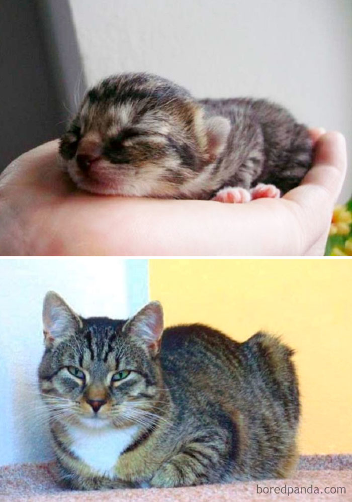 Walda - 2008 Vs 2017