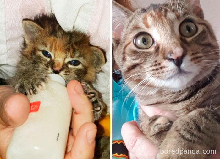 Miss Sassy As A Baby And Even More Now!