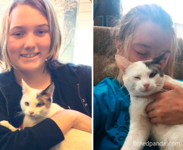 Noel - Day 1 And 3/4 Of A Year