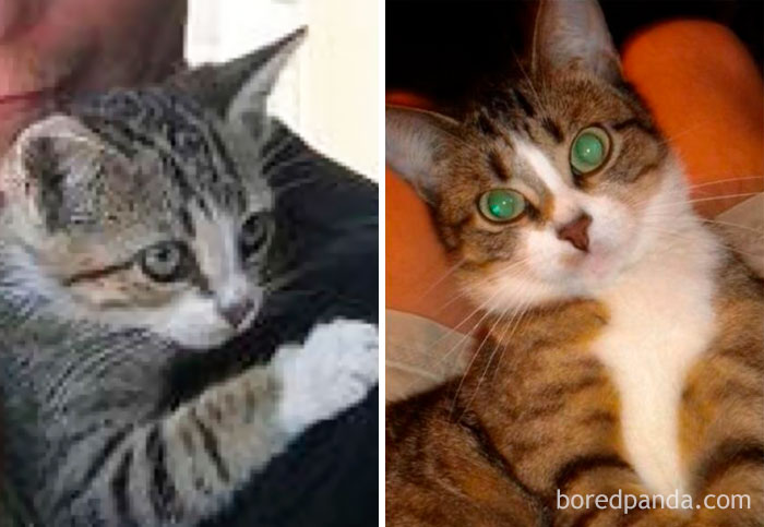 Seixal In 2000 & Now In 2017