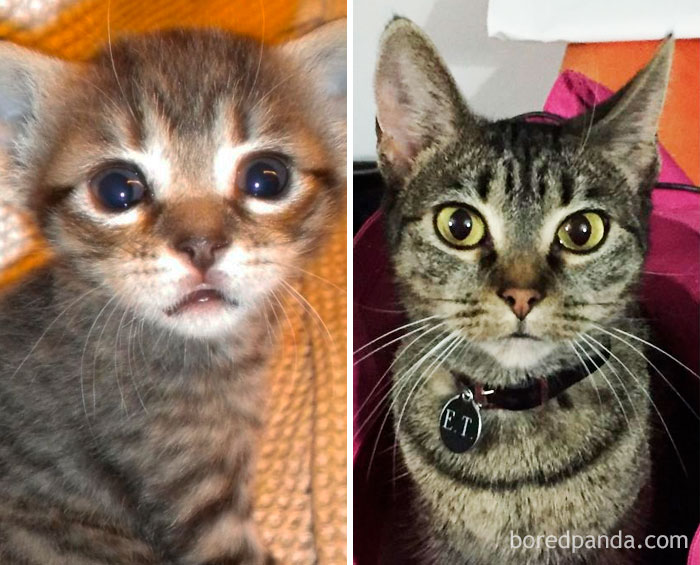 Et When She Was 4weeks In 2011 & Now 5 Years Later