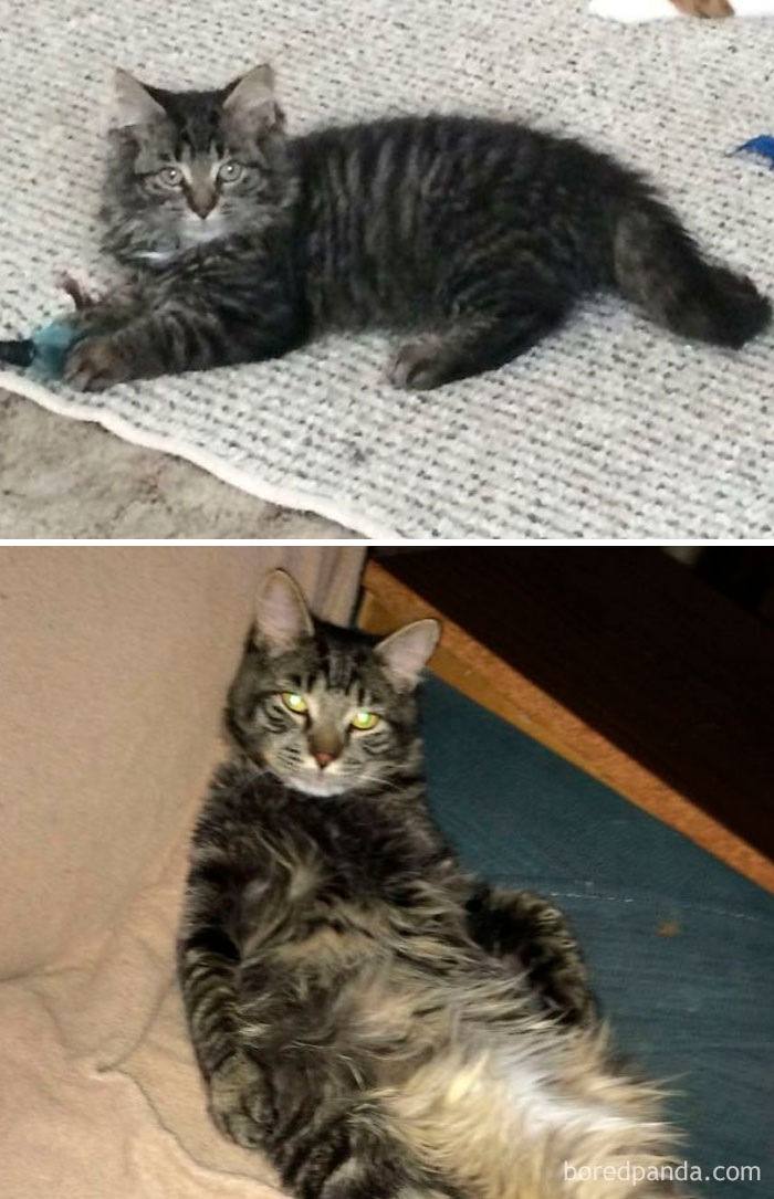 JJ As A Baby And Now