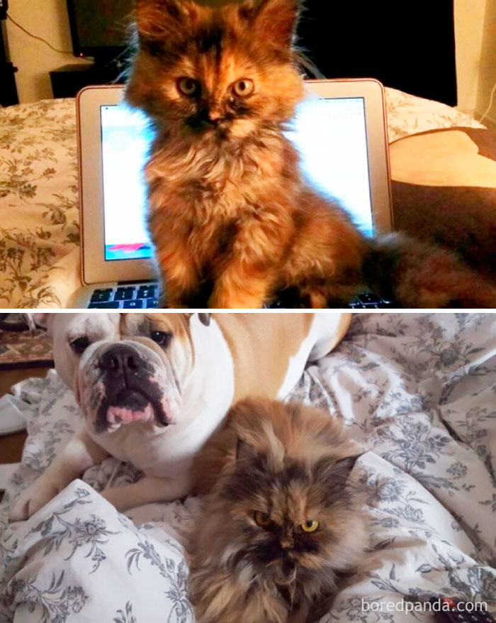 Peanut 3 Months Old Vs Now