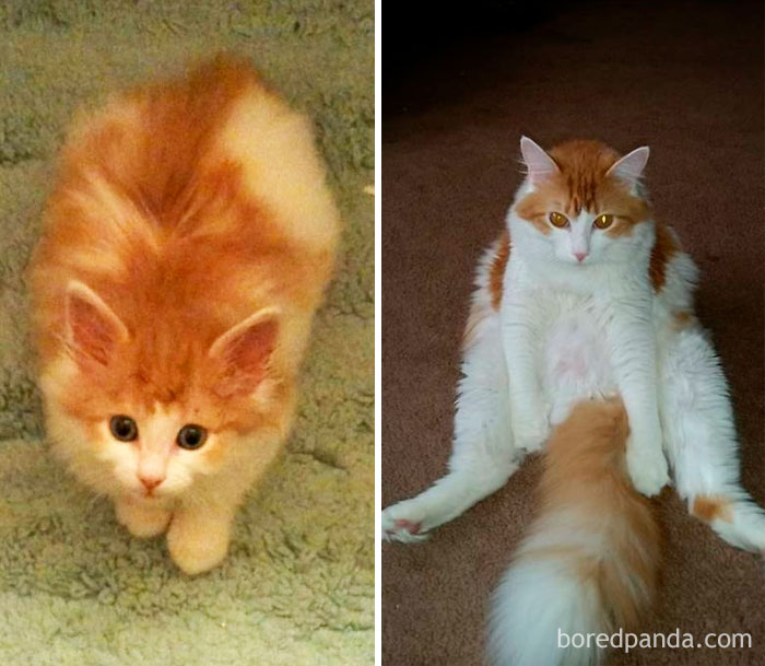 Annushka (Nushy) Then And Now