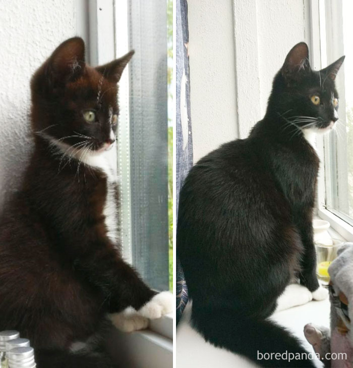 Left 4 Weeks Old, Right 4 Months Old