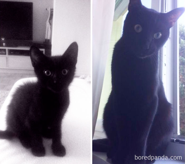 Evan, 3 Months And 1 Year