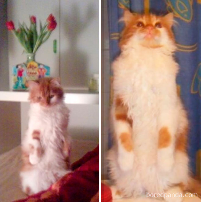 Chadi Grows And Still Charmingly Begging For Love (Gets Lots, Granted!)