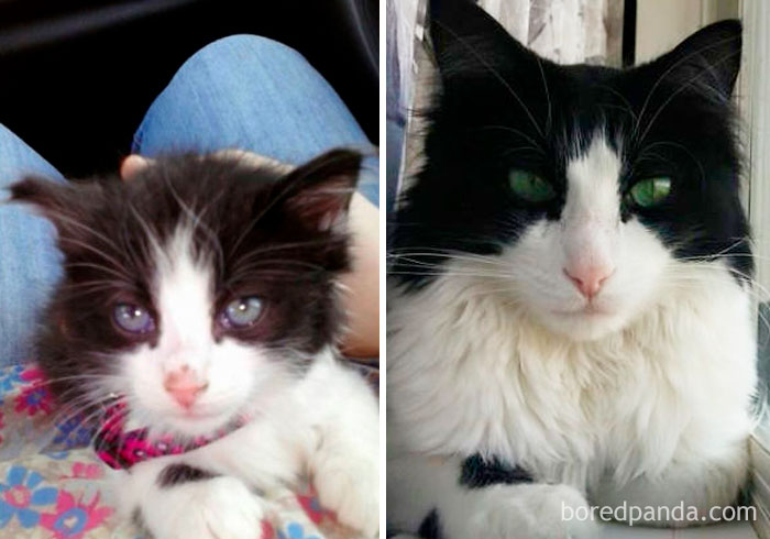 Nia And His Famous Resting B*tch Face