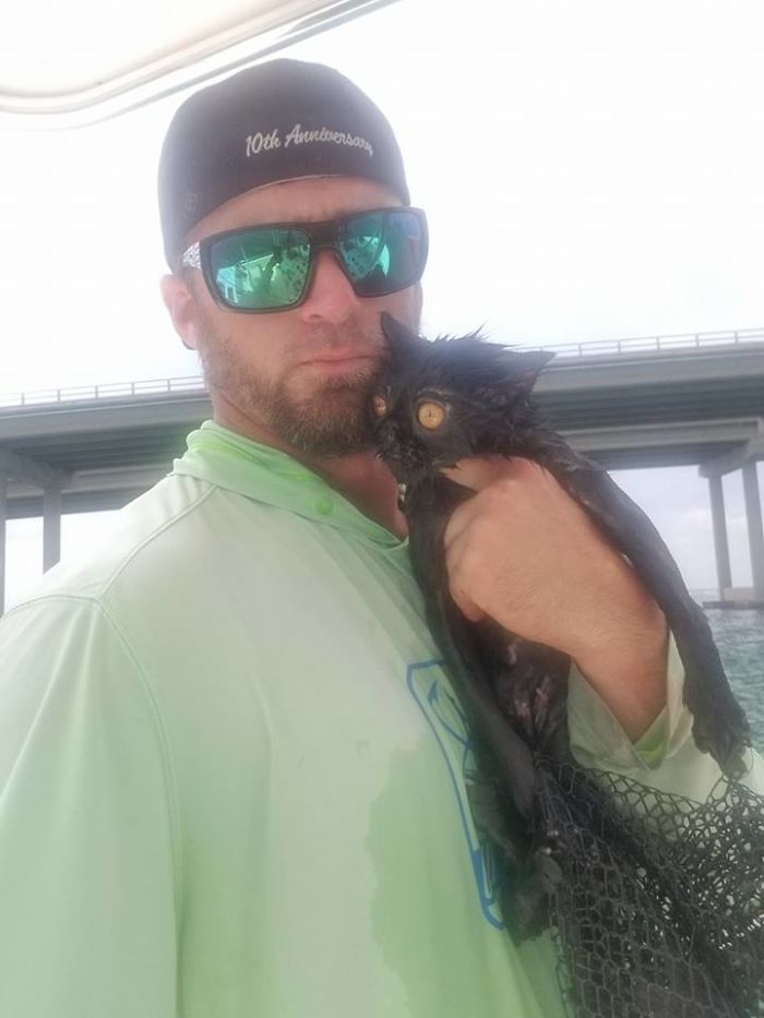 Somebody Apparently Threw This Cat Off The Bridge, But Luckily This Boat Captain Spotted Her Somebody Apparently Threw This Cat Off The Bridge, But Luckily This Boat Captain Spotted Her