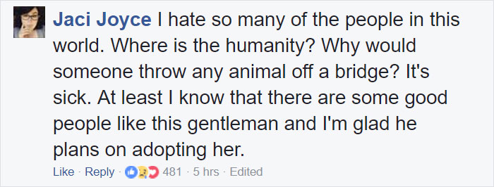 Somebody Apparently Threw This Cat Off The Bridge, But Luckily This Boat Captain Spotted Her